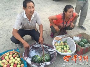 寶塔區啟用6處農副產品自產自銷臨時攤點 便民惠農新舉措，點亮城市煙火氣