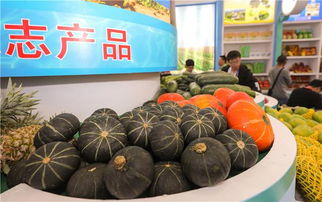 冬交會陵水展館 68種優質特色農副產品引關注，擦亮熱帶農業名片